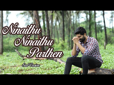 NINAITHU NINAITHU PARTHEN/YUVAN SHANKAR RAJA/NA MUTHUKUMAR/ANAND ARAVINDAKSHAN