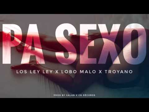 ! ! ! ( Pa sexo ) Los Ley Ley  x Lobo Malo x Troyano x Prod BY Galan Galaneate x CrRecords