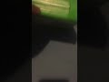 The Wiggles Dance Party VHS Review