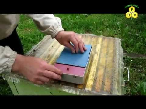 Установка прививочной рамки в воспиталку