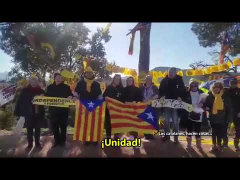 ¡Aún no lo has visto todo!. Pedazo de FESTIVAL, se montan en las afueras de la cárcel de Lladoners