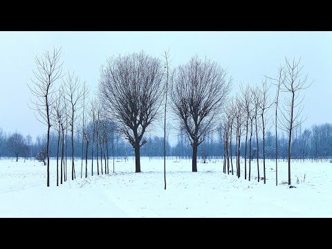 Schodt feat. Aida Fenhel - White Tiger (Matt Lange 2012 Re-Master) [Silk Music]
