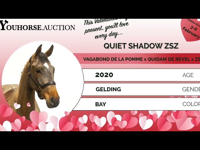 Quiet Shadow under the saddle