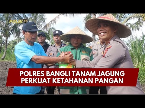 PRESISI UPDATE: POLRES BANGLI TANAM JAGUNG PERKUAT KETAHANAN PANGAN 06/02/26 (09.00)