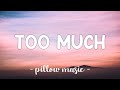 Too Much Carly Rae Jepsen Lyrics