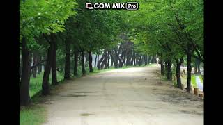 BP RANIA   LOOK AT ME