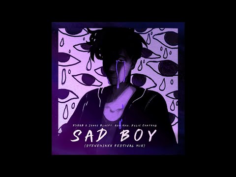 R3HAB & Jonas Blue feat. Ava Max & Kylie Cantrall - Sad Boy (STEVENJAXX Festival Mix)