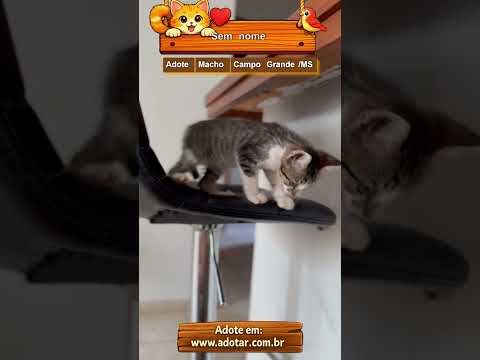 Vídeo de Sem nome