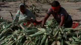 Broken Rainbow - Part 7 of 7