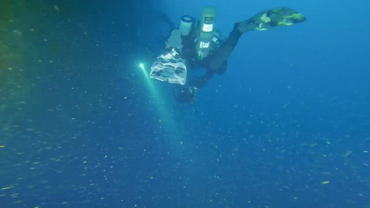 Diving Milford Haven 2023