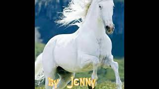 LA REYNA YAKI/ GRUPO LABERINTO.