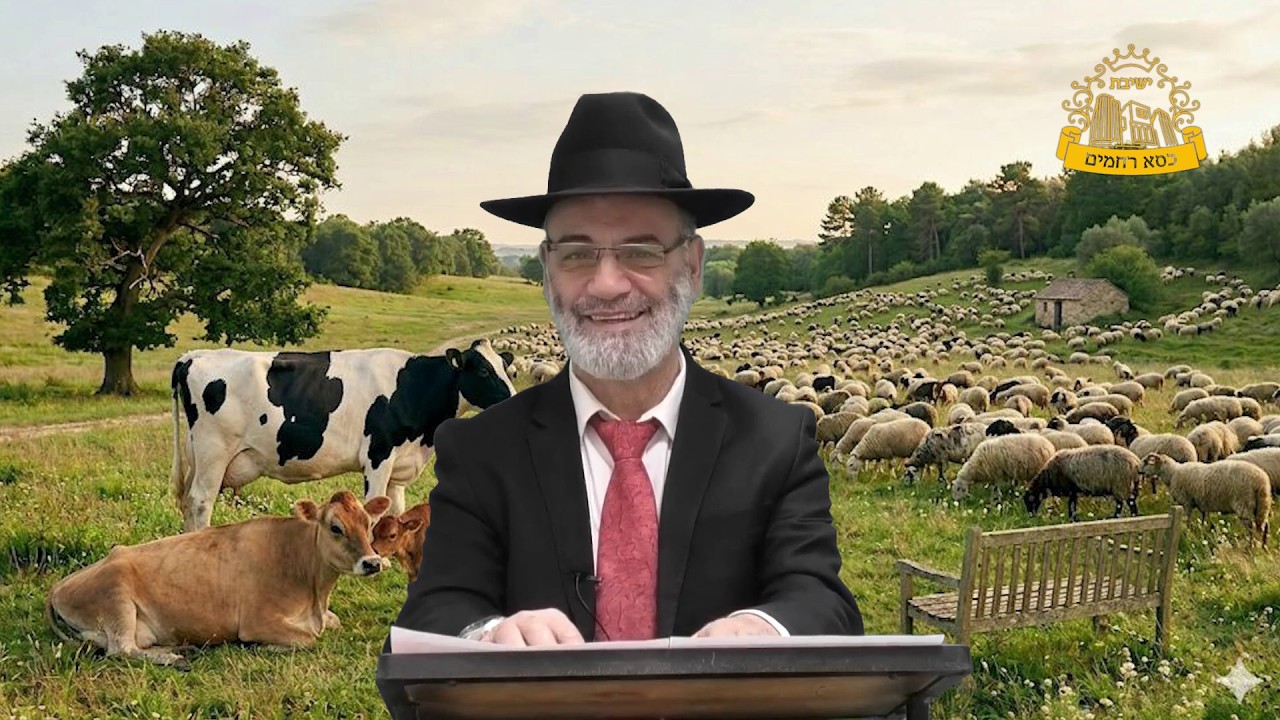 ממתק לפרשת שמיני מהרב שלמה מועלם, שבת שלום ומבורך!