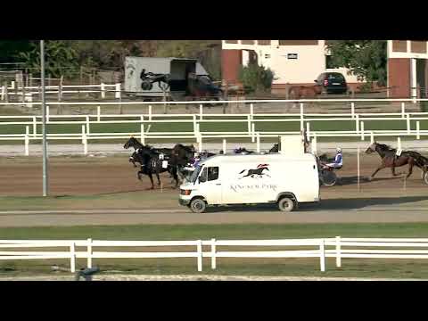 2019.10.12. 06. futam - TALENT SCOUT HENDIKEP