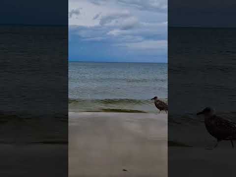 Zempin Germany beach.