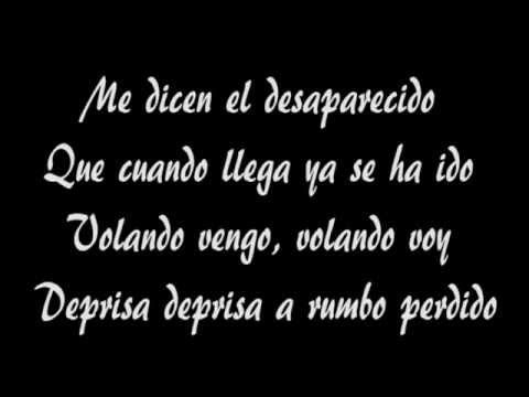 Manu Chao - Desaparecido con testo (with lyrics).avi