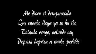 Manu Chao - Desaparecido con testo (with lyrics).avi