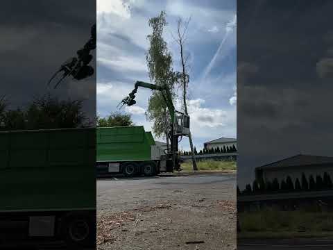 Götz Baumpflege: MAN Fäll-LKW mit Palfinger Epsilon Q170Z Kran und GMT050 Fällgreifer