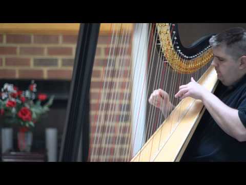 2013-04-08 Harp Extended Techniques DEMO (Melvin Lauf, Jr.)