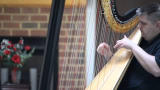 2013-04-08 Harp Extended Techniques DEMO (Melvin Lauf, Jr.)