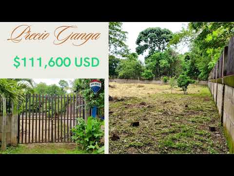 img-video