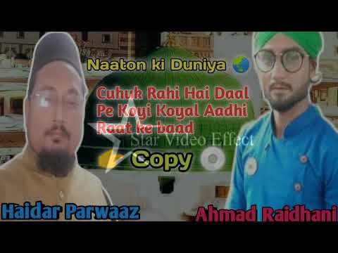 Haidar Parwaaz ki Copy naate Cuhok rahi hai Daal e pe Koyi