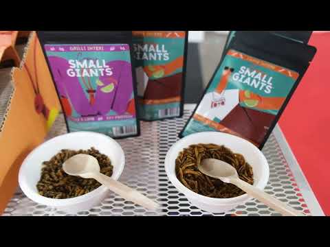 Tommaso Vitiello (Small Giants): insetti, lievito e cozze per il cibo del futuro – TuttoFood 2025