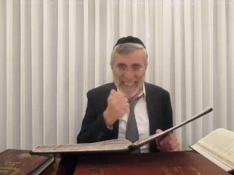 הרב יהושע ביבי - תשפ"ו - פסח - שיעור מס'' 007 - יפ''ש באות ב' שבסוף שעה''כ על קושית האו''ז