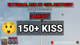 Download lagu Suara Panggil Walet Terbaik@150 kiss dalam 5 menit BY Gifa Birtnest mp3 Download lagu Suara Panggil Walet Terbaik@150 kiss dalam 5 menit BY Gifa Birtnest mp3