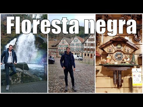 The Black Forest in Germany 🌲🇩🇪🍰