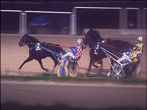 Trotto 08/12/2019 - 6ª corsa - G.P. MIPAAF (Filly)