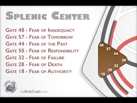 Splenic Authority #humandesign