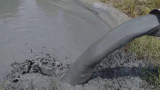 Download lagu Alat penyedot lumpur, dengan kekuatan super kuat, rakitan petani tambak sungai sibur baliyoga. mp3 Download lagu Alat penyedot lumpur, dengan kekuatan super kuat, rakitan petani tambak sungai sibur baliyoga. mp3