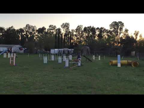 Ziry TEAM Gamblers 50X70 4/02/21 Module 1