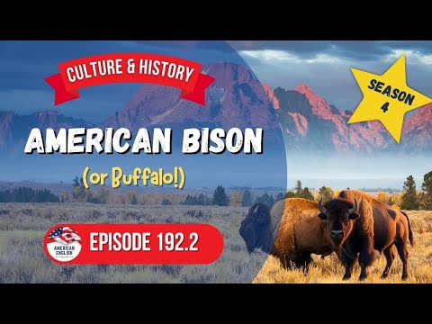 192.2 - American Bison (or Buffalo!)