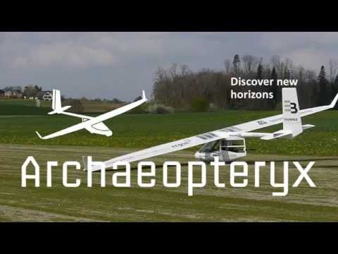 Archaeopteryx Electric "Electeryx"