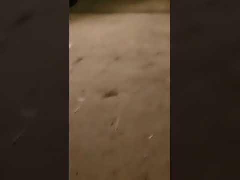 partea 3 box lacu dulce