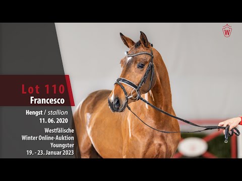 Winter Online-Auktion Lot 110 Francesco Hengst v. Franz Joseph Junior - Rock Forever l