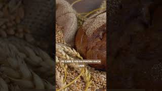 Emanuel Olar - "Pâinea vieții"