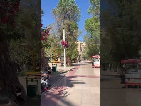 Plaza de Copiapo M-26 #chile #atacama #travel #viajes #visitando #turismo #copiapo #lugares #shorts