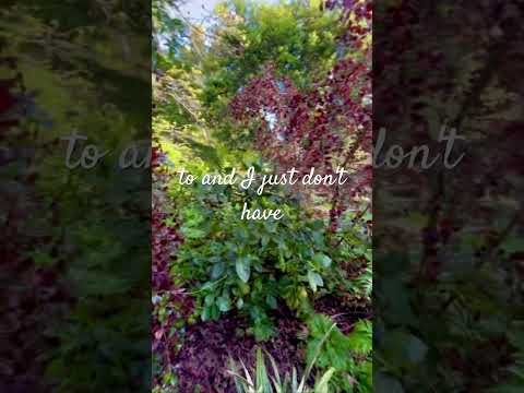 đ±Grow your own Grapefruits!đ #gardening #growyourownfood #ediblegarden