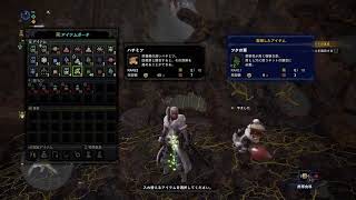 MHIB 参加型 キャリーハンター募集してます