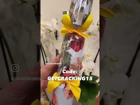 Christmas in July SALE