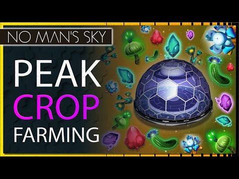 Peak Efficiency! Farming Crops in No Man's Sky with Minimal Effort - No Glitching Required