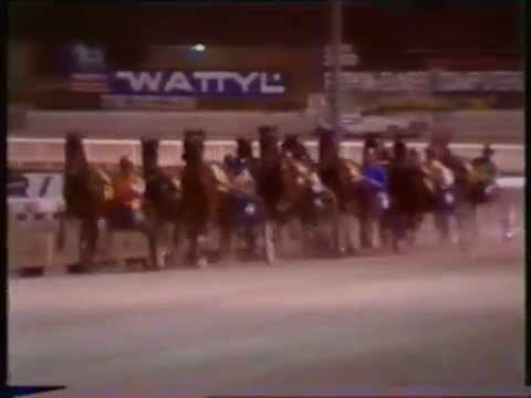 1983 Interdominions - Alexandra Park, Auckland - Trotters' FFA: Scotch Notch