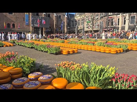 Cheese Market in Alkmaar