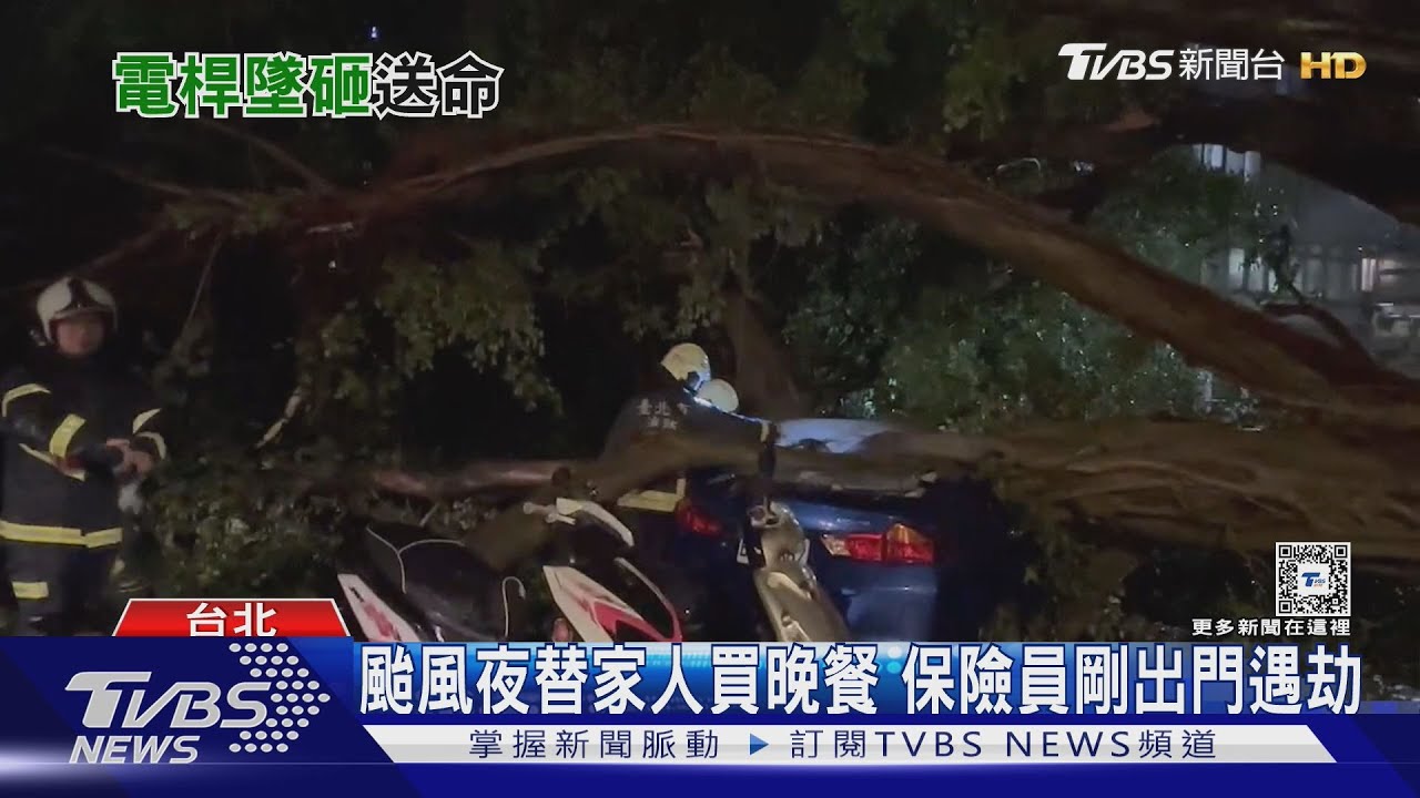 僅離家50米！樹塌釀電桿倒　保險員遭壓亡