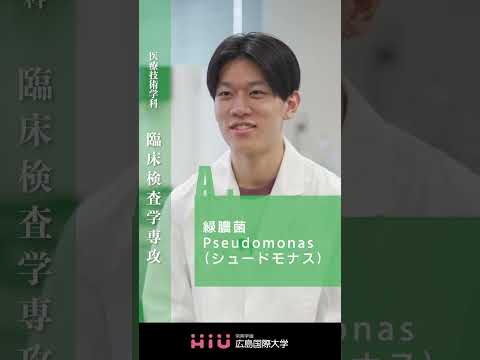 study 広島国際大学 臨床検査学専攻④