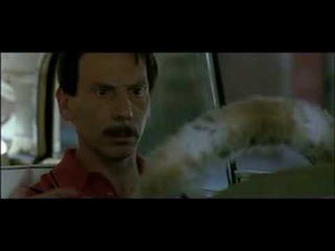 al, john e jack - scialaqua