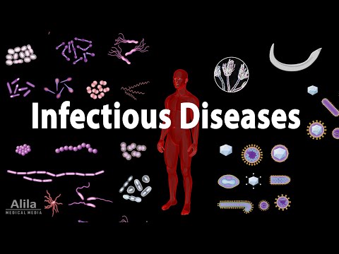 Infectious Diseases Overview, Animation