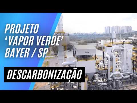 PROJETO DESCARBONIZAÇÃO PLANTA QUÍMICA: EMPRESA BAYER / SP - SUBSTITUIÇÃO DE GÁS POR BIOMASSA